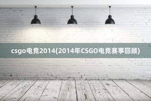 csgo电竞2014(2014年CSGO电竞赛事回顾)