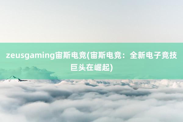 zeusgaming宙斯电竞(宙斯电竞：全新电子竞技巨头在崛起)