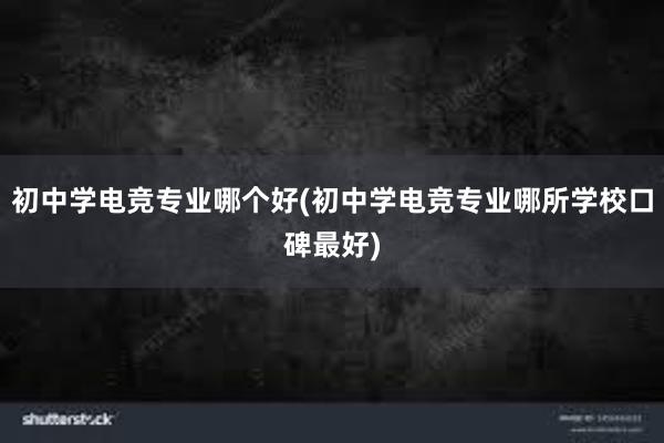 初中学电竞专业哪个好(初中学电竞专业哪所学校口碑最好)