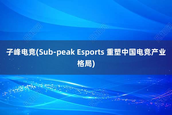 子峰电竞(Sub-peak Esports 重塑中国电竞产业格局)