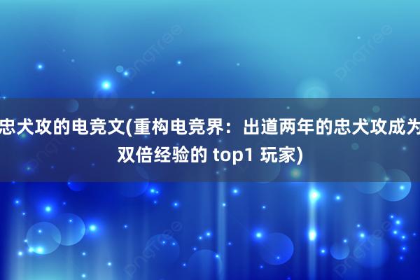 忠犬攻的电竞文(重构电竞界：出道两年的忠犬攻成为双倍经验的 top1 玩家)