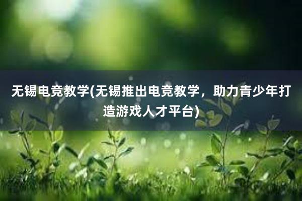 无锡电竞教学(无锡推出电竞教学，助力青少年打造游戏人才平台)