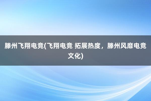 滕州飞翔电竞(飞翔电竞 拓展热度，滕州风靡电竞文化)