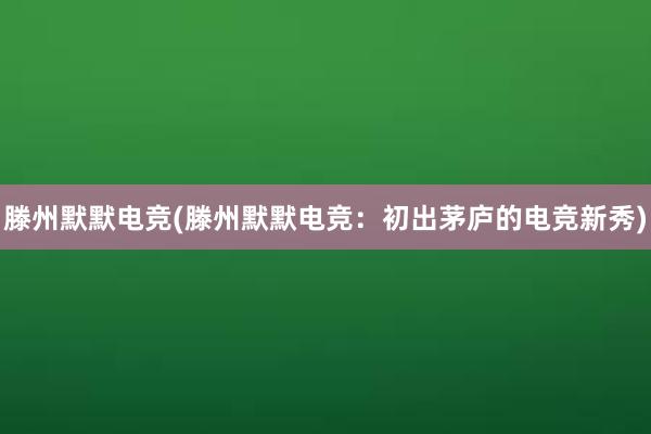 滕州默默电竞(滕州默默电竞：初出茅庐的电竞新秀)