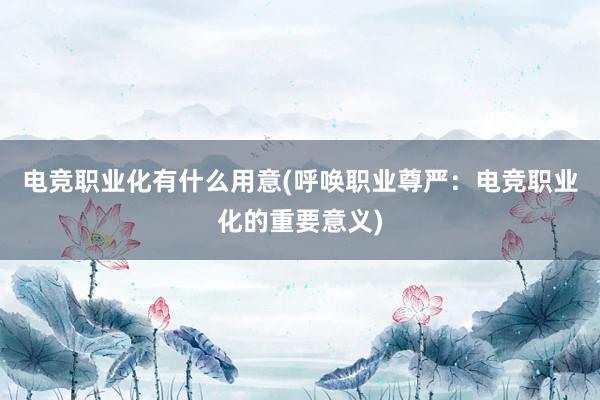 电竞职业化有什么用意(呼唤职业尊严：电竞职业化的重要意义)