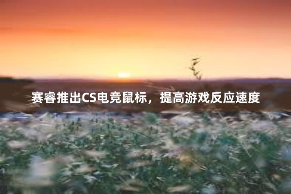 赛睿推出CS电竞鼠标，提高游戏反应速度