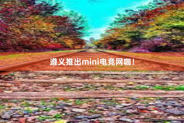 遵义推出mini电竞网咖！