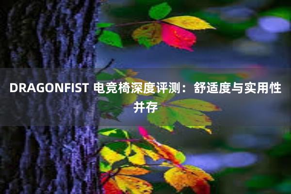 DRAGONFIST 电竞椅深度评测：舒适度与实用性并存