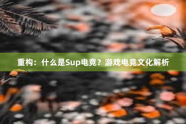 重构：什么是Sup电竞？游戏电竞文化解析