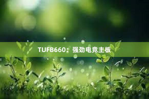 TUFB660：强劲电竞主板