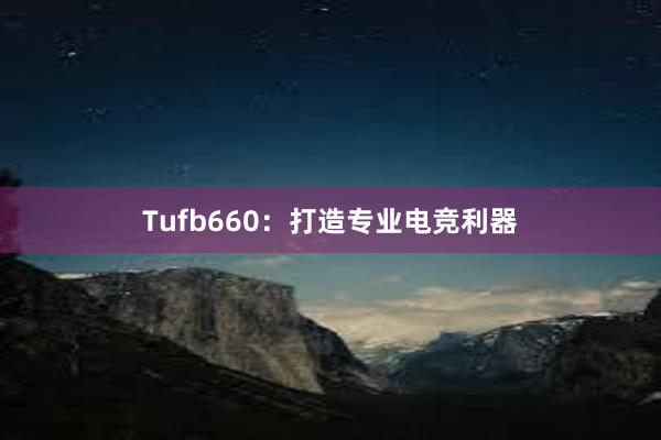 Tufb660：打造专业电竞利器