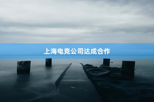 上海电竞公司达成合作