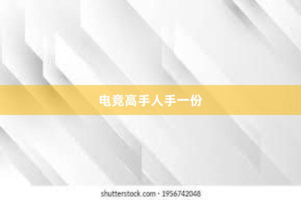 电竞高手人手一份