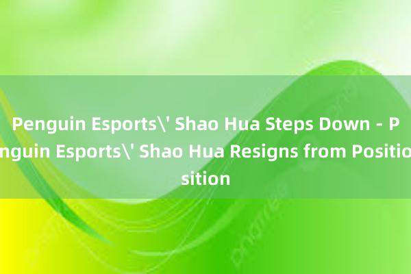 Penguin Esports' Shao Hua Steps Down - Penguin Esports' Shao Hua Resigns from Position