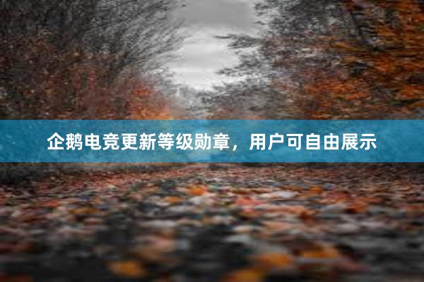 企鹅电竞更新等级勋章，用户可自由展示