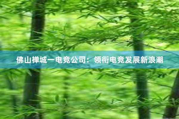 佛山禅城一电竞公司：领衔电竞发展新浪潮