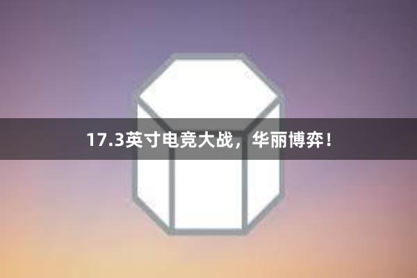 17.3英寸电竞大战，华丽博弈！