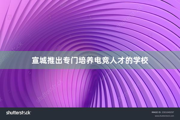 宣城推出专门培养电竞人才的学校