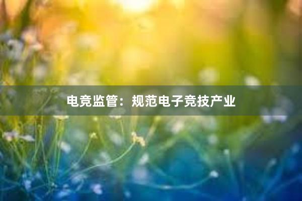 电竞监管：规范电子竞技产业