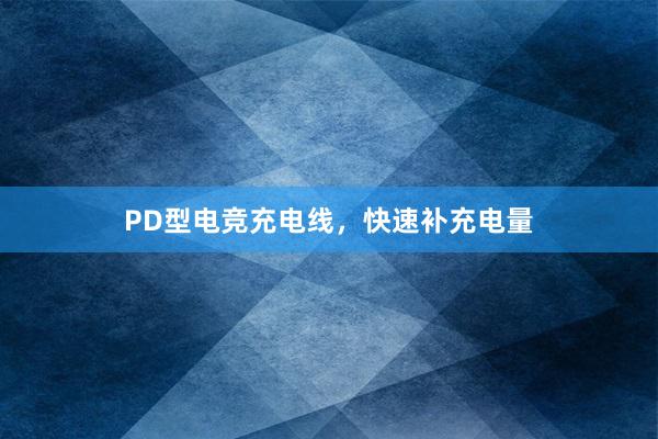 PD型电竞充电线，快速补充电量