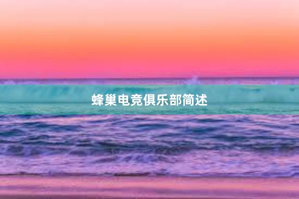 蜂巢电竞俱乐部简述