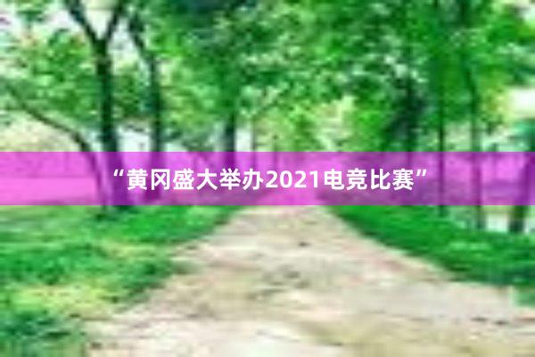 “黄冈盛大举办2021电竞比赛”